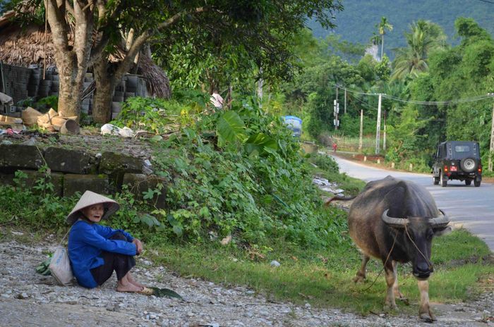 Chính sách BHXH phải đến gần hơn với nhóm đối tượng là người yếu thế. Ảnh: N.Lộc