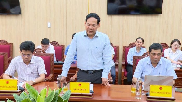 Lãnh đạo Sở Tài chính phát biểu tại Hội nghị. Ảnh: baoquangngai