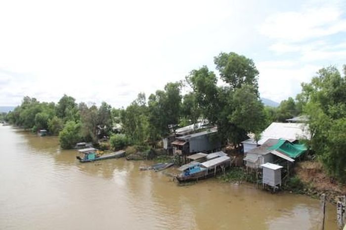 Đầu nguồn sông Tiền bắt đầu đón lũ