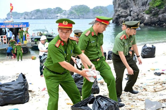  Lực lượng chức năng và người dân tham gia thu gom rác thải, làm sạch môi trường tại khu vực ven biển, góp phần bảo vệ hệ sinh thái biển. (Ảnh minh họa) 