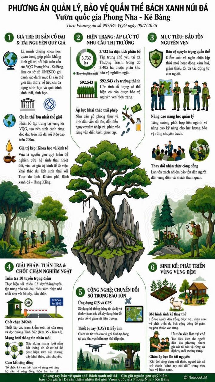 Phương án số 987/PA-VQG về quản lý, bảo vệ quần thể Bách xanh núi đá (Calocedrus rupestris)