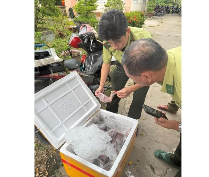  Lực lượng chức năng kiểm tra số chim hoang dã được bảo quản trong thùng xốp đông đá, phát hiện trong vụ mua bán động vật rừng trái phép tại Đồng Tháp. Ảnh: Công an tỉnh Đồng Tháp. 