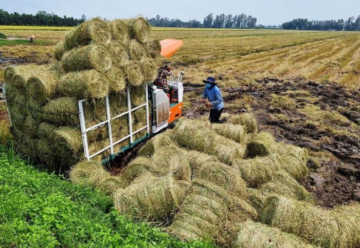 Tất cả các phụ phẩm nông nghiệp đều được tái chế