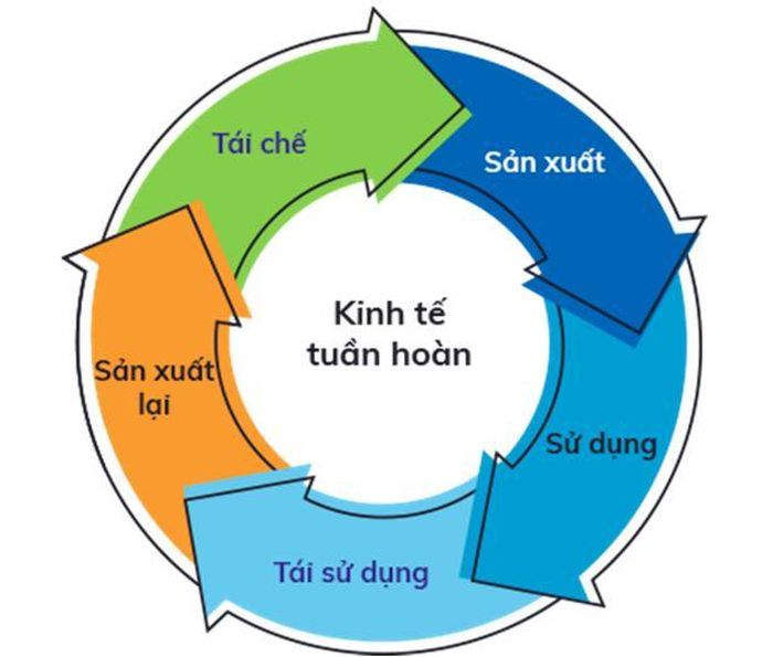 Minh họa