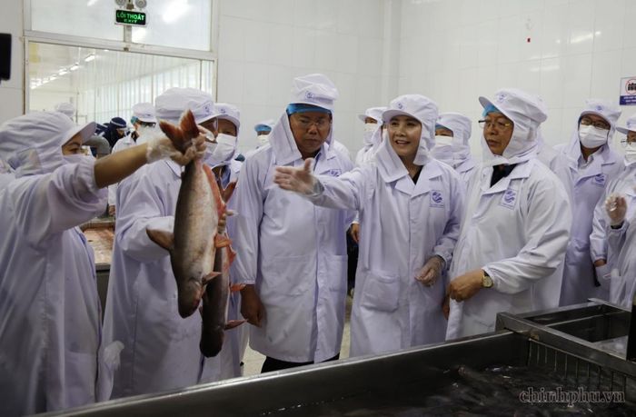 Phó Thủ tướng Hồ Quốc Dũng thăm quy trình sản xuất của Công ty Cổ phần Xuất nhập khẩu thủy sản Cửu Long An Giang. Ảnh: VGP