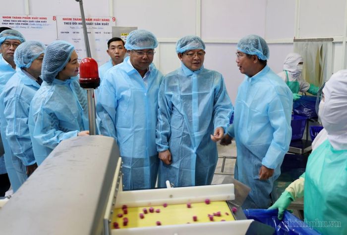 Phó Thủ tướng Hồ Quốc Dũng thăm quy trình sản xuất của Công ty Antesco. Ảnh: VGP