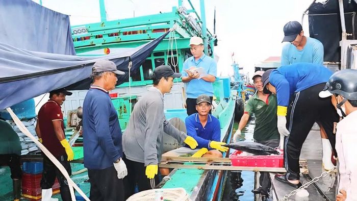 Ban Quản lý Cảng cá thuộc Sở Nông nghiệp và Môi trường tỉnh Gia Lai quản lý chặt chẽ hoạt động tàu thuyền xuất, nhập bến.