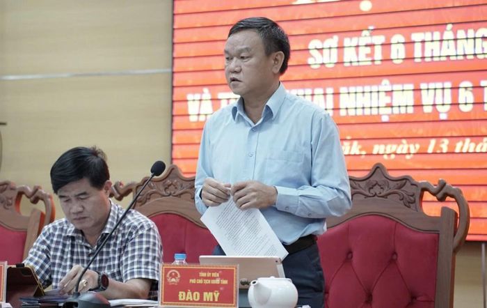 Ông Đào Mỹ, Tỉnh ủy viên, Phó Chủ tịch UBND tỉnh phát biểu tại hội nghị.