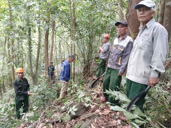 Công tác quản lý, bảo vệ rừng trên địa bàn cũng đang được triển khai thường xuyên và hiệu quả