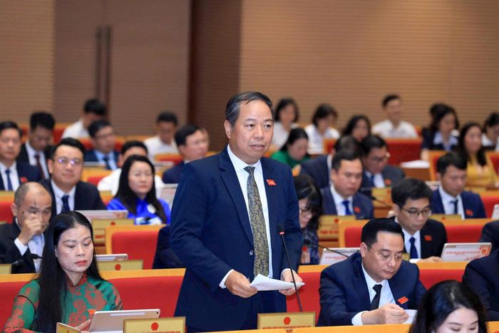 Đại biểu Trần Thọ Hiển phát biểu thảo luận. Ảnh: Thành Thái