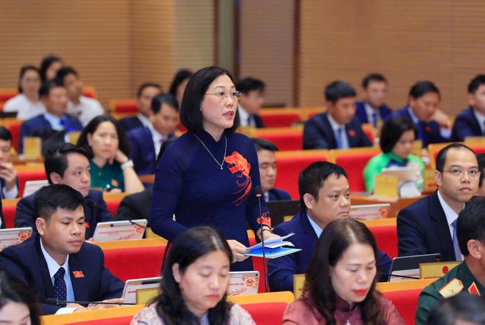 Đại biểu Nguyễn Thị Vân tham gia thảo luận. Ảnh: Thành Thái
