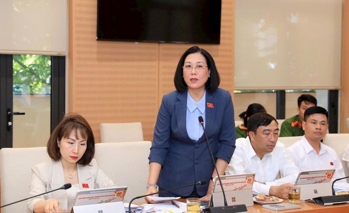 Đại biểu Nguyễn Thị Vân phát biểu thảo luận tại tổ. Ảnh: Thành Thái