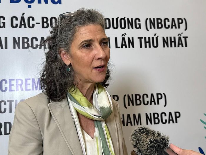 Bà Ramla Khalidi, Trưởng Đại diện thường trú UNDP tại Việt Nam. Ảnh: Kiều Thoan Thu