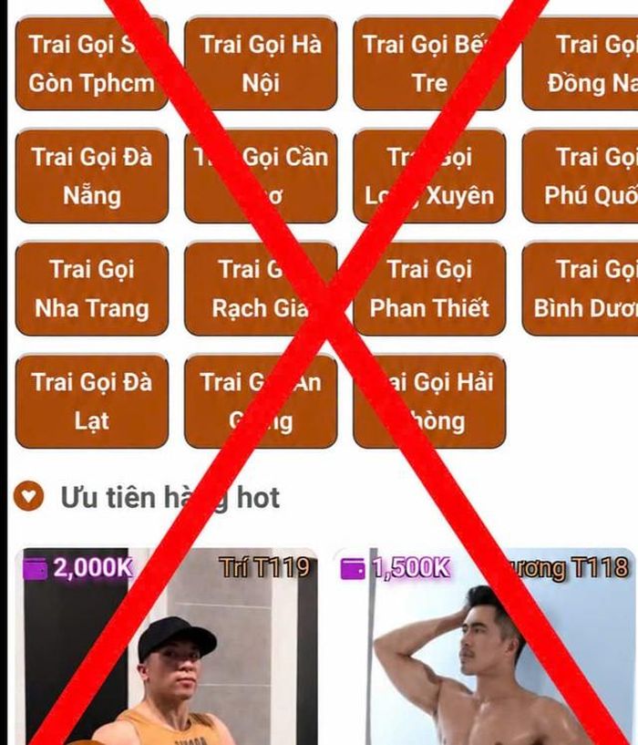 Đường dây môi giới mại dâm hoạt động tinh vi thông qua nhiều website.