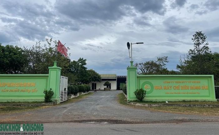 Nơi nghi có mộ tập thể liệt sĩ nằm tại Khu Công nghiệp Cam Thành (xã Cam Lộ), trong khuôn viên một nhà máy chế biến nông sản.