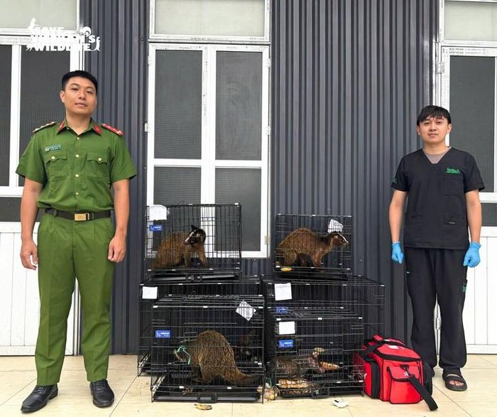 Những cá thể động vật hoang dã được giải cứu.