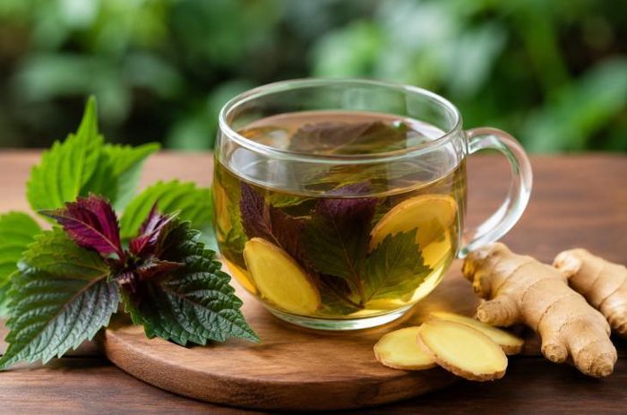 Nước lá tía tô với gừng là thức uống thảo mộc quen thuộc, chứa nhiều hợp chất thực vật có hoạt tính sinh học.