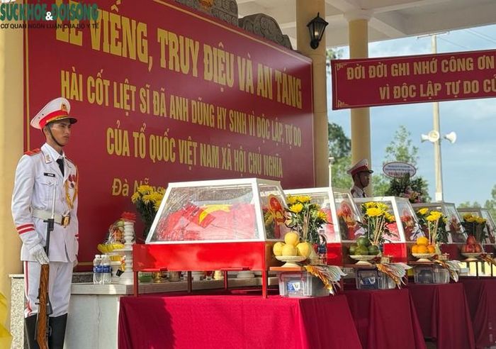 Trong 5 hài cốt quy tập lần này, có 1 mẫu sinh phẩm đủ điều kiện giám định ADN.