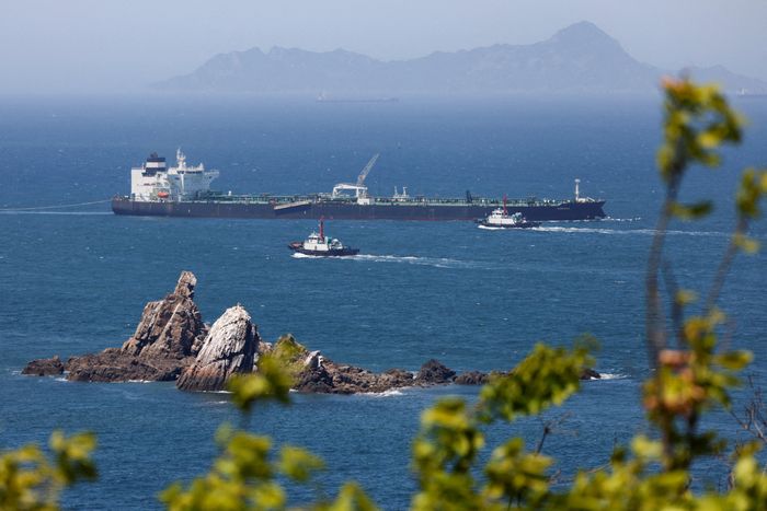 Dự án mới này sẽ cho phép container ra vào UAE mà không cần phải đi qua eo biển Hormuz. Ảnh: Reuters.