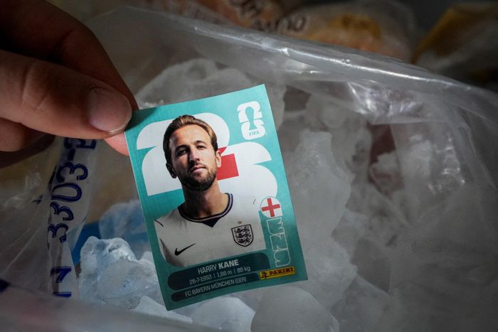 Người hâm họ Argentina đặt thẻ sưu tập có hình đội trưởng tuyển Anh Harry Kane vào ngăn đá tủ lạnh. Ảnh: Reuters.