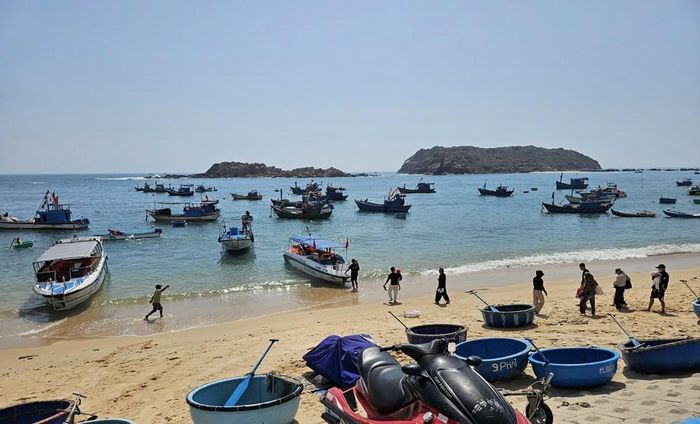Lãnh đạo tỉnh Gia Lai yêu cầu các doanh nghiệp vận tải không xuất bến khi thời tiết không bảo đảm, không chở quá số người