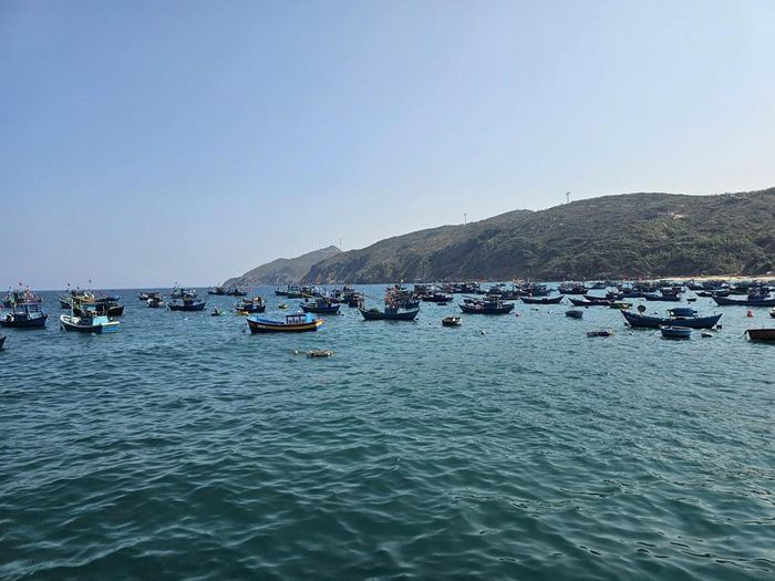 Gia Lai kiên quyết đình chỉ hoạt động, xử lý nghiêm đối với phương tiện, bến thủy, doanh nghiệp hoặc cá nhân không bảo đảm các điều kiện theo quy định của pháp luật