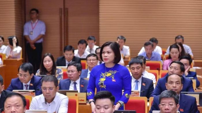 Đại biểu Hoàng Thị Tú Anh (Tổ đại biểu số 27) tại phiên chất vấn.