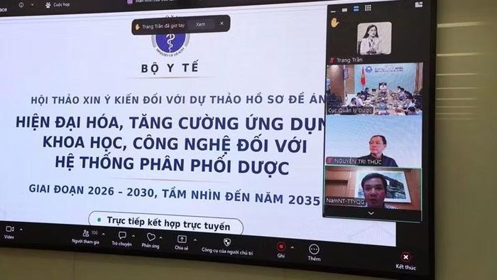 Các đại biểu tham gia hội thảo qua hình thức trực tuyến.