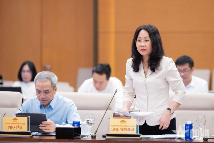  Bộ trưởng Bộ Văn hóa, Thể thao và Du lịch Lâm Thị Phương Thanh báo cáo tại phiên họp.
