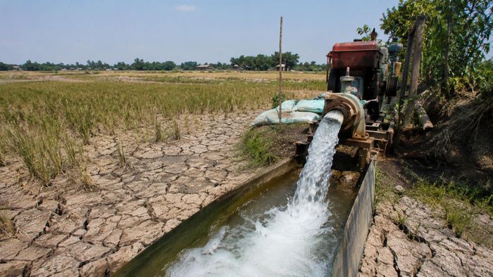 Nhiều nơi có thể thiếu nước cho sản xuất do El Nino. Ảnh minh họa được tạo bởi AI