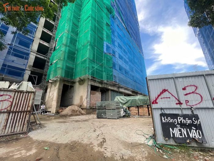 Hai tòa A2 và A3 đang được triển khai cải tạo với quy mô 19 tầng và 1 tầng hầm. Theo phương án chuyển đổi, hai tòa nhà này sẽ cung cấp 768 căn hộ nhà ở xã hội cho thuê, trong đó A2 có 408 căn và A3 có 360 căn.