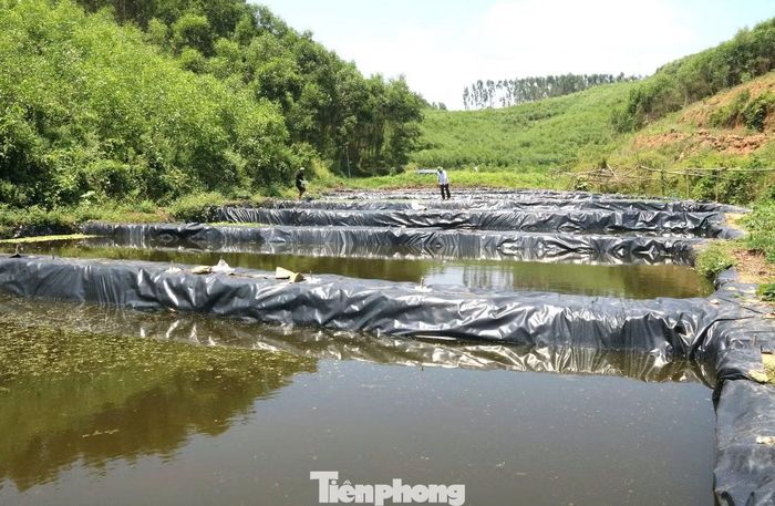  Theo anh Hân, canh tác lúa nước cho thu nhập không cao, lại phụ thuộc hoàn toàn vào thời tiết nên vợ chồng anh luôn trăn trở tìm hướng sản xuất mới. Sau quá trình tìm hiểu, anh nhận thấy khu vực khe Hủng Găng có nguồn nước sạch chảy quanh năm, rất phù hợp với đặc tính sinh trưởng của ốc bươu đen. 