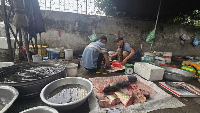 Tại đây, các hoạt động buôn bán được tổ chức công khai, đặc biệt là một số sạp kinh doanh thực phẩm tươi sống hoạt động xả thải trực tiếp, gây ảnh hưởng nghiêm trọng đến công tác đảm bảo vệ sinh môi trường khu vực.