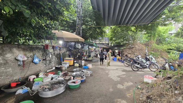 Tại khu vực đất này, hoạt động họp chợ tự phát của một số hộ kinh doanh cũng gây ảnh hưởng đến trật tự đô thị và công tác đảm bảo vệ sinh môi trường xung quanh.