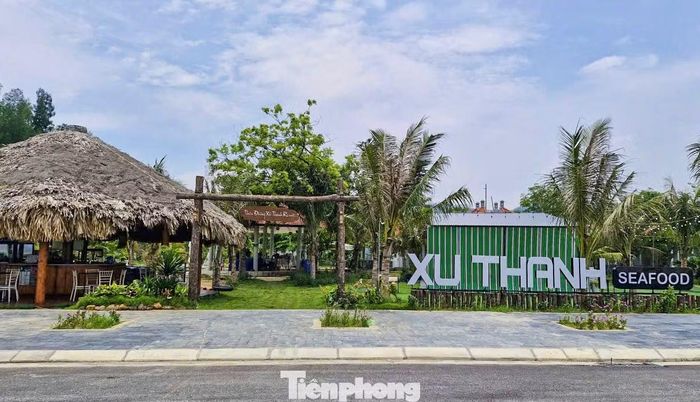 Thanh tra tỉnh Thanh Hóa xác định nhà đầu tư chậm đưa đất vào sử dụng theo quy định. Để xảy ra các vi phạm kể trên, ngoài doanh nghiệp còn có trách nhiệm của Sở Nông nghiệp và Môi trường, Sở Tài chính, UBND xã Hoằng Tiến giai đoạn 2003-2005.