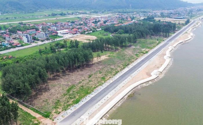 Thanh tra tỉnh Thanh Hóa cho biết dự án được giao đất từ năm 2004, được cấp giấy chứng nhận quyền sử dụng đất các năm 2013 và 2019. Tuy nhiên, dự án đã hết thời hạn đầu tư từ quý IV/2021 nhưng đến nay vẫn còn khoảng 3,7ha đất đã được cấp giấy chứng nhận quyền sử dụng đất, không vướng giải phóng mặt bằng nhưng chưa được đầu tư xây dựng.
