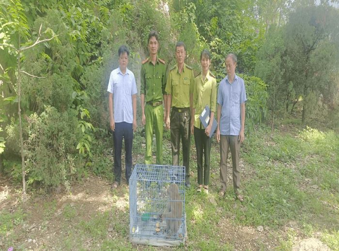 Lực lượng chức năng tiếp nhận cá thể khỉ do người dân giao nộp