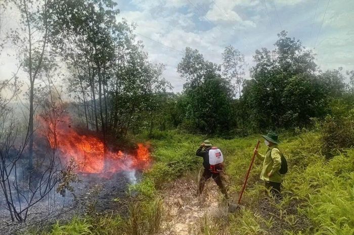 Hai vụ cháy rừng liên tiếp trong ngày, hàng trăm người tham gia chữa cháy.