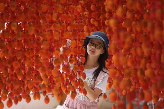Hồng treo gió ở Lâm Đồng
