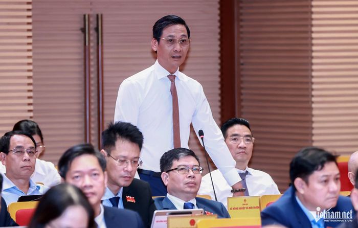 Giám đốc Sở Nông nghiệp và Môi trường Lê Thanh Nam