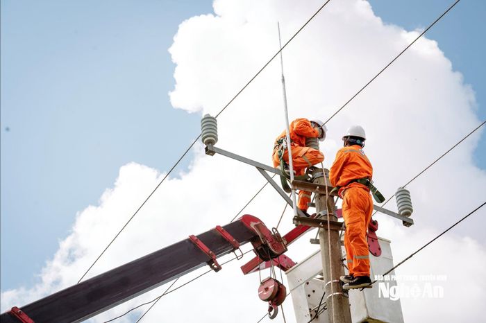 Hạ tầng điện thuộc Điện lực Nghệ An. Ảnh: PV