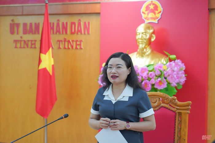 Phó Chủ tịch UBND tỉnh Nguyễn Thị Nguyệt kết luận cuộc họp.