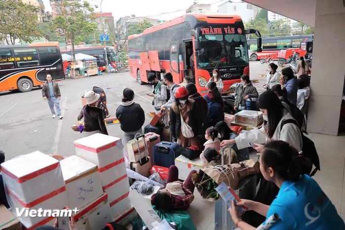 Nếu không có lực lượng kế cận, thay thế, trong khoảng từ 3-5 năm nữa lực lượng lái xe hạng CE và hạng D sẽ giảm đến mức báo động. (Ảnh: Hoài Nam/Vietnam+)