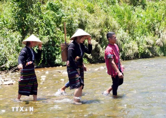 Sáo Pi luôn được đồng bào Bru Vân Kiều mang theo mọi lúc, mọi nơi và trở thành nét sinh hoạt văn hóa cộng đồng không thể thiếu. (Ảnh: Tá Chuyên/TTXVN)
