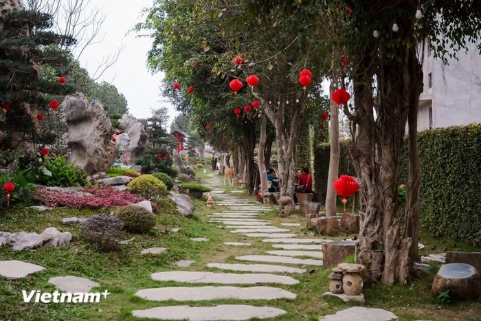 Năm 2015, đại đức Thích Đạo Thịnh bắt đầu cho dựng pho đại tượng phật A Di Đà, với thông điệp vì hòa bình thế giới. Với chiều cao 72m, đây được xem là một pho tượng đồ sộ bậc nhất khu vực Đông Nam Á. (Ảnh: CTV/Vietnam+)