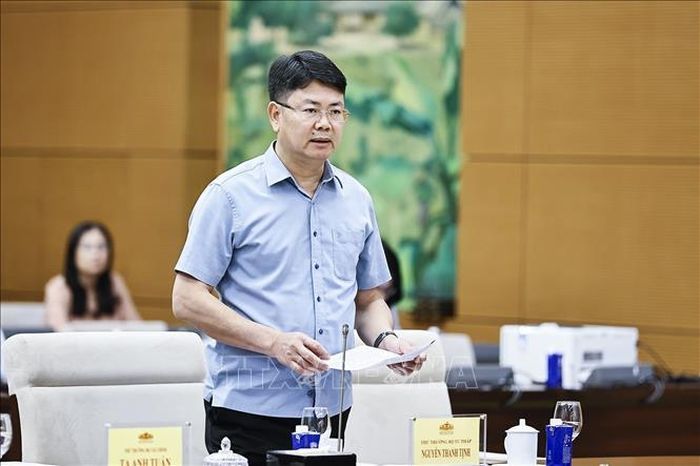 Thứ trưởng Bộ Tư pháp Nguyễn Thanh Tịnh phát biểu. Ảnh: Doãn Tấn/TTXVN