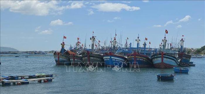 Gia Lai tổng kiểm kê, số hóa tàu cá.
