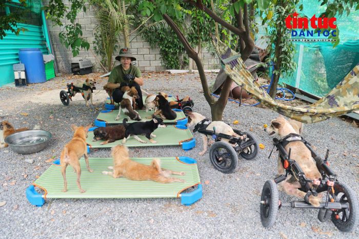 Buổi sáng, những chú chó được phơi nắng và nghe những bản nhạc nhẹ tại các khu vực chăm sóc riêng.