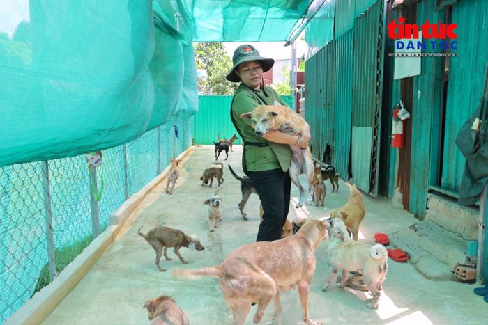 Chị Nguyễn Thị Kim Ngân, người sáng lập "Nhà Xanh" để chăm sóc, cứu hộ những chú chó bị bỏ rơi và mang thương tật.
