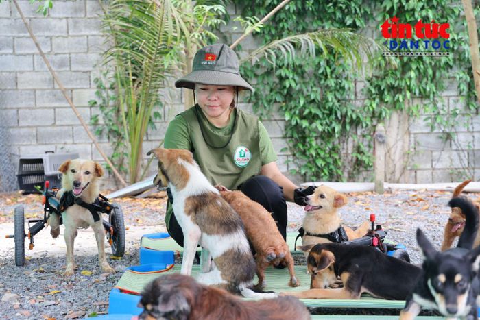 Ngoài việc chăm sóc hằng ngày, chị Ngân dành thời gian vuốt ve, chơi đùa cùng những chú chó.
